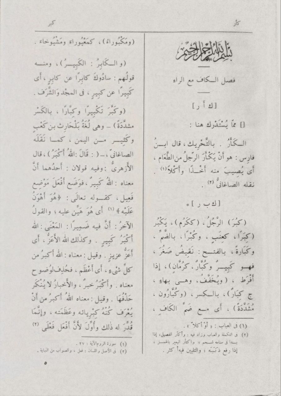 صورة 10 من كتاب تاج العروس شرح جواهر القاموس لـ محمد مرتضى بن محمد بن محمد بن عبد الرزاق الحسيني الزبيدي البلكرامي الهاشمي، أبو الفيض، محب الدين - نسخة أصلية نادرة - مكتبة الأصول والنوادر