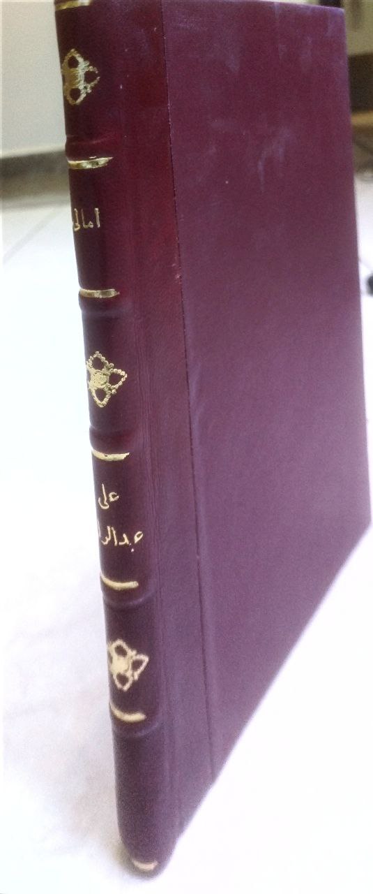 صورة 1 من كتاب أمالي علي عبدالرزاق في علم البيان وتاريخه لـ علي عبد الرازق - نسخة أصلية نادرة - مكتبة الأصول والنوادر