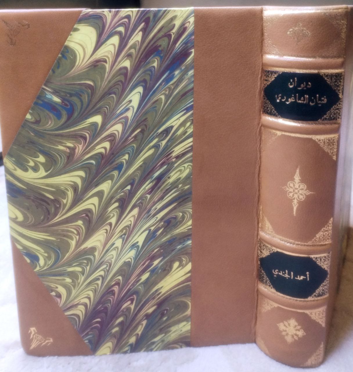 صورة 4 من كتاب ديوان فتيان الشاغوري لـ أبو محمد فتيان بن علي  الأسدي - نسخة أصلية نادرة - الخزانة الأشرفية