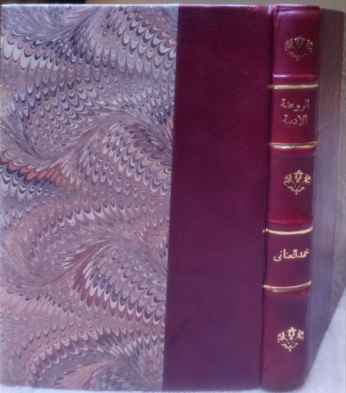 صورة 1 من كتاب كتاب الروضة الأدبية في المنتخبات النثرية والشعرية - لـ محمد العناني - نسخة أصلية نادرة - الخزانة الأشرفية