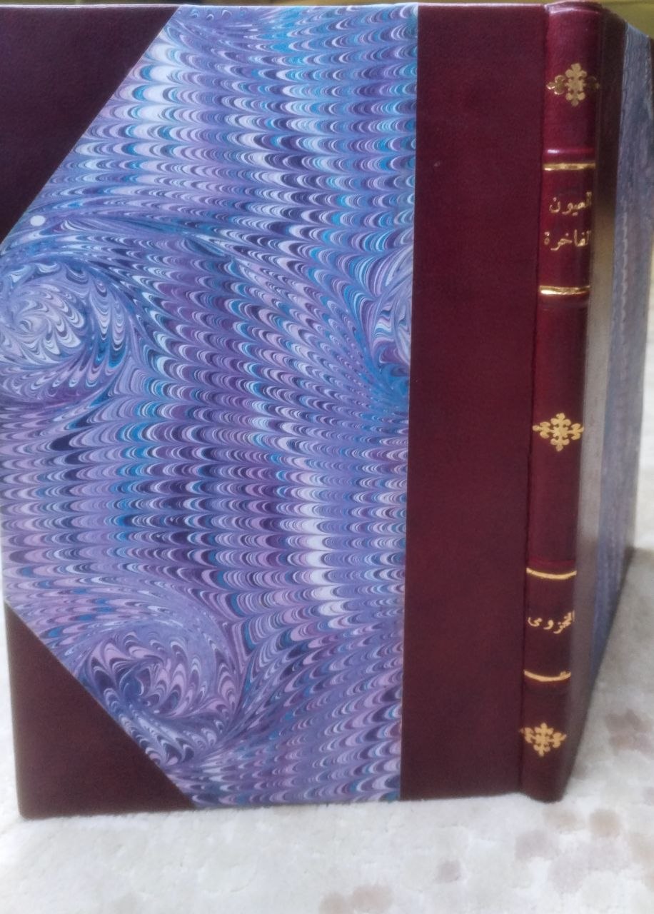 صورة 1 من كتاب العيون الفاخرة  الغامزة على خبايا الرامزة وهو شرح الدماميني على القصيدة الخزرجية في العروض والقوافي لـ محمد بن أبي بكر بن عمر بن أبي بكر بن محمد المخزومي القرشي، المعروف بـ"ابن الدماميني" - نسخة أصلية نادرة - الخزانة الأشرفية
